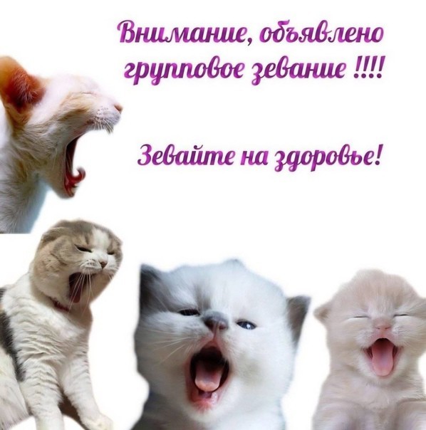 Всего понемногу. От 05.04.2024