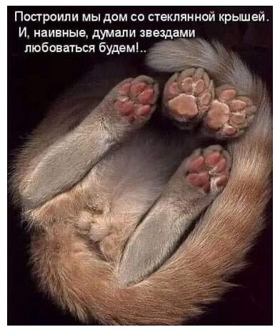 Прикольные и просто красивые картинки 19.04.2024