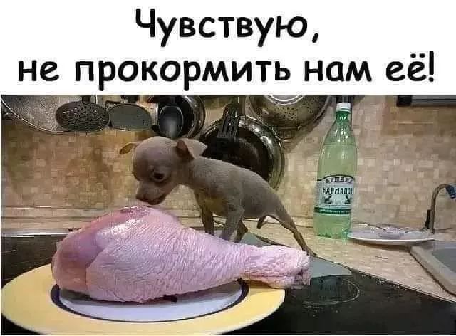 Завалялось тут случайно немного забавных картинок
