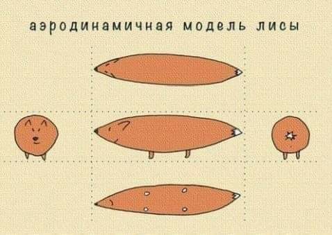 Завалялось тут случайно немного забавных картинок