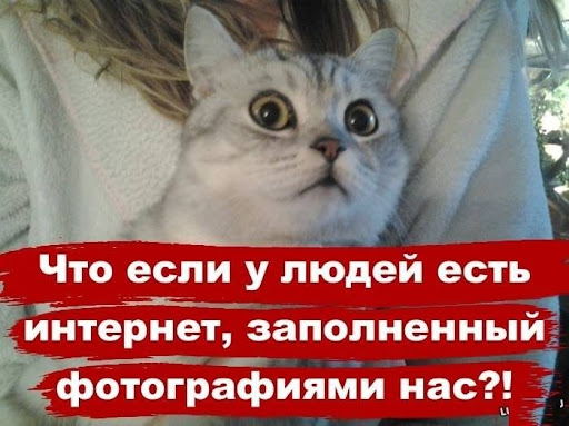 Картинки выходного дня