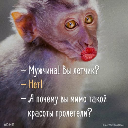 Завалялось тут случайно немного забавных картинок