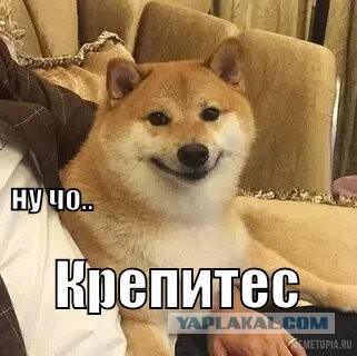 Ученый напал на коллег на изолированной базе в Антарктиде.