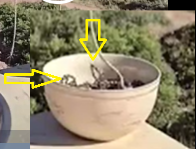 Феномен цепного фонтана (Эффект Моулда)