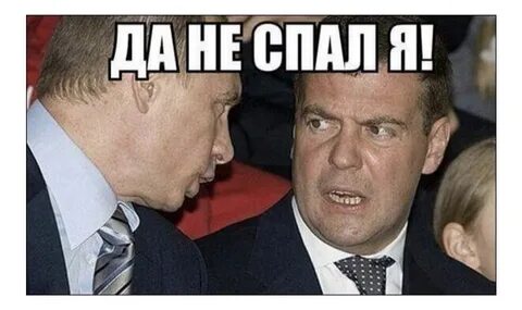 Дмитрий Медведев показал школьникам свои самые популярные цитаты