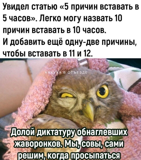 Так себе картинки 29.08.25