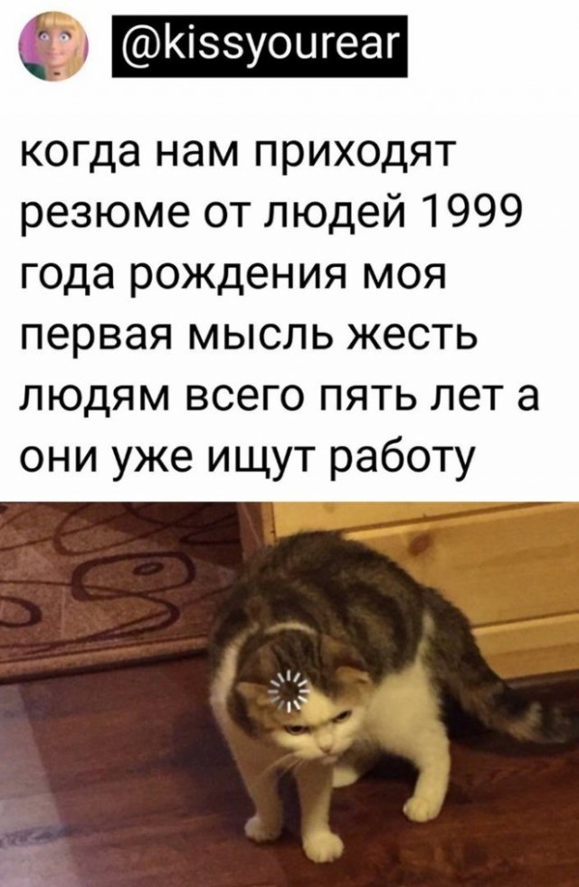 К котовторнику: подборка картинок-баянов с котиками и про котиков. Выпуск 19.