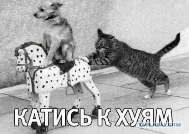 Долина отсудила не только квартиру обратно, но и получила три миллиона сверху