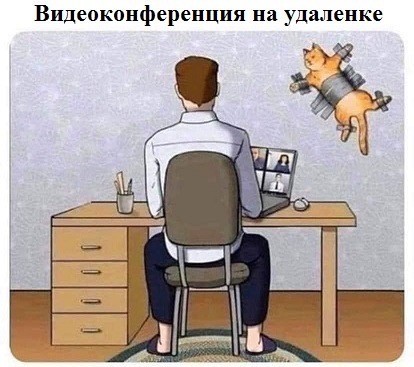 К котовторнику: подборка картинок-баянов с котиками и про котиков. Выпуск 28.