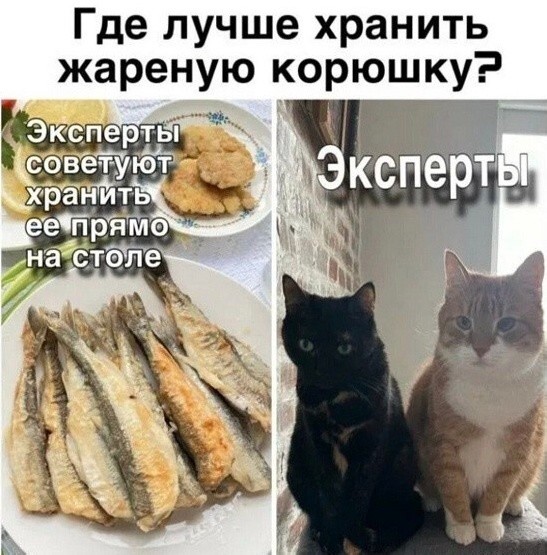 Картинки для деградации 186 (разной степени свежести)