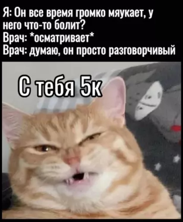 Картиночки, баянчики 29 июня