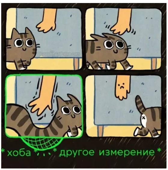 К котовторнику: подборка картинок-баянов с котиками и про котиков. Выпуск 42.