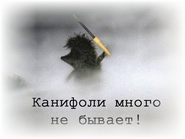 Когда ТЫ СВАРЩИК и ниипёт!