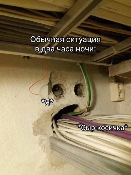 Картинки для деградации 305 (разной степени свежести)