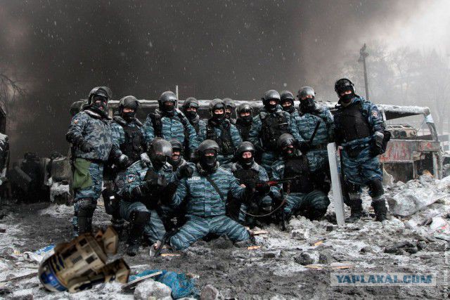 Фото дня