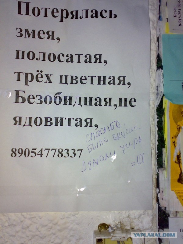 Объявление у подъезда