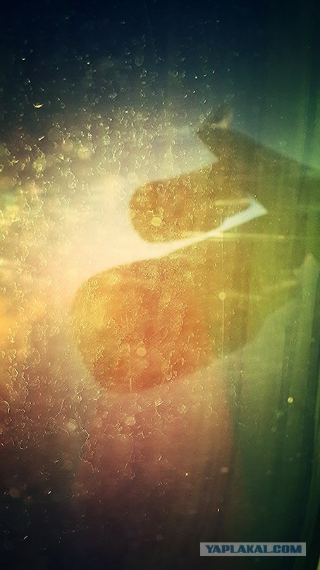 27 причин взять место у окна