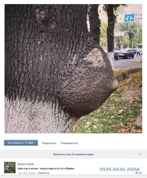 И снова смешные комментарии