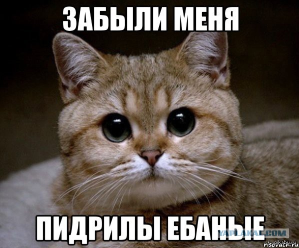 Онанекусаецца
