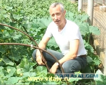 Предметы не для мастурбации