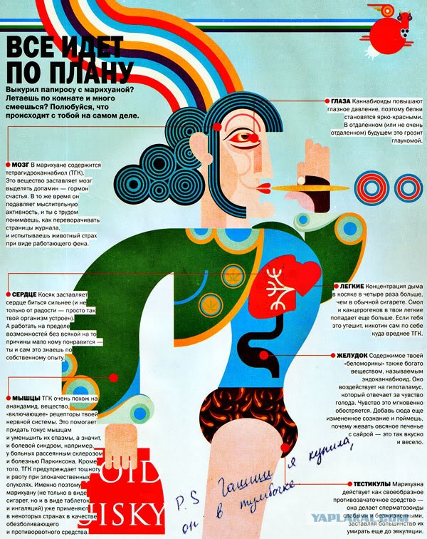 Плохая марихуана, плохая!