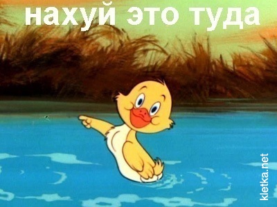 В Европе наши продукты маркируют колорадским жуком
