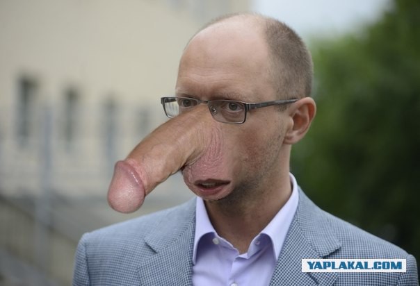 Украинские партизаны в России
