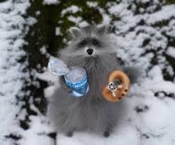 Нашел её! Что теперь делать, ума не приложу.