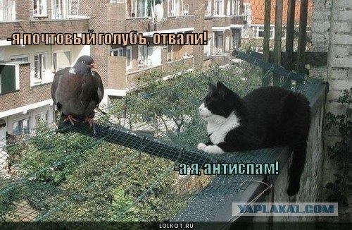 Почтовое вложение