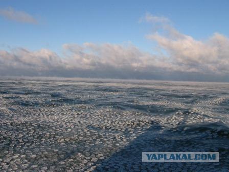 Несколько дней из жизни моряка.