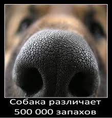 25 интересных фактов.