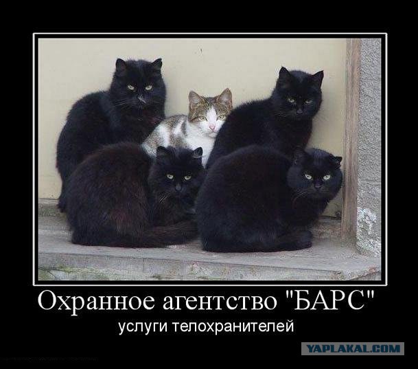 Подборка демотиваторов