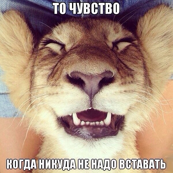Картинки и демотиваторы