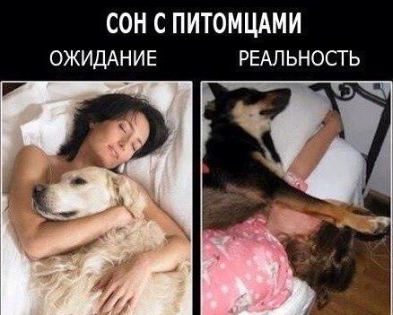 Картинки на утро вторника