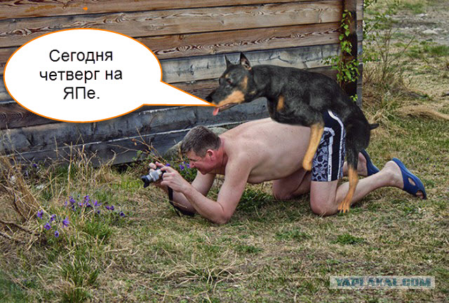 Жаба: Фотолюбитель