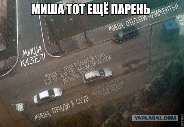 Забавные картинки из Сети