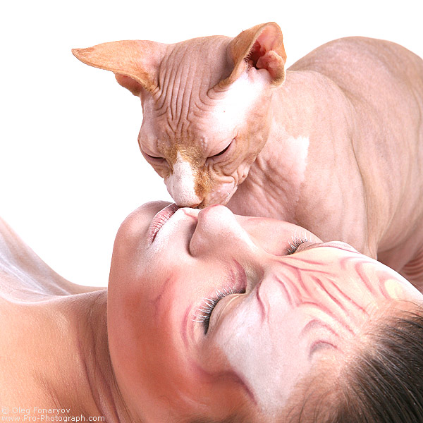 Коты, кошки, котята
