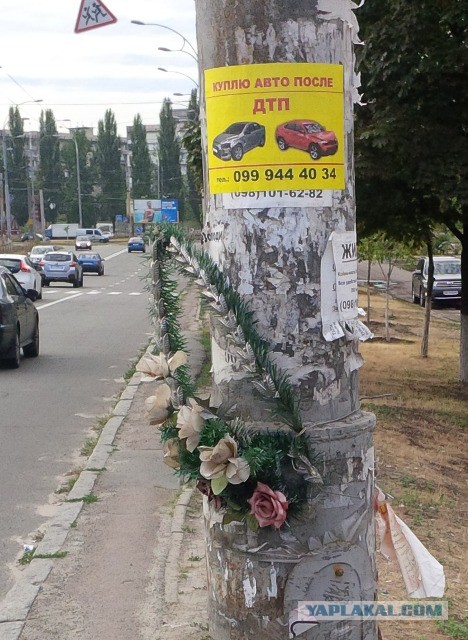 Злые шутки или минутка сарказма на ЯП-е, 16+