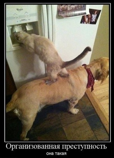 Подборка картинок