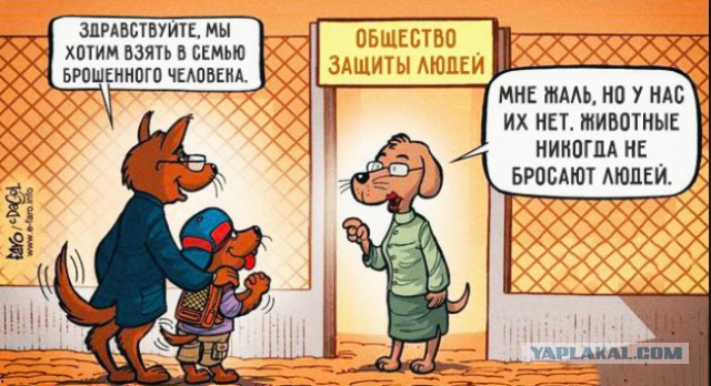 Вот и меня предали...