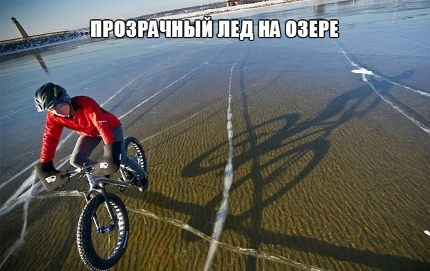 Свежая подборка прикольных картинок