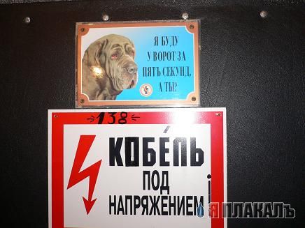 СОБАКИ и ЩЕНКИ. Все про собак!
