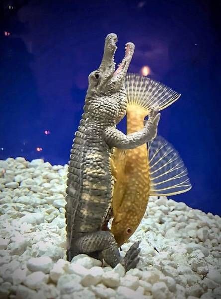 Красивые фото