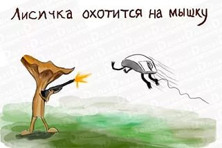 Поиграем в омонимы