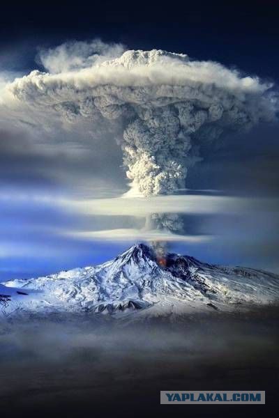 Подборка интересных и веселых фото