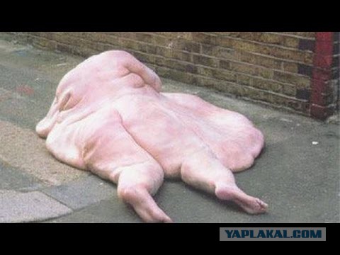 Доигрались