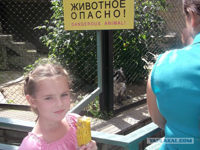 Папина дочка