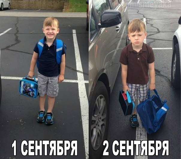 Картинки из сети
