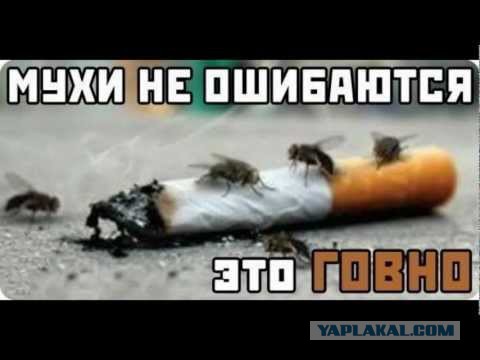 За что я ненавижу курильщиков