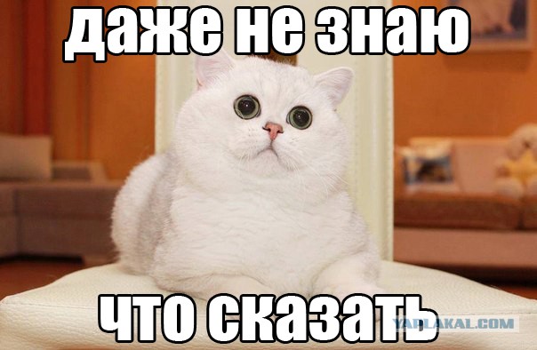 Лавстори из одноклазников (Трешак? Нет, не думаю)